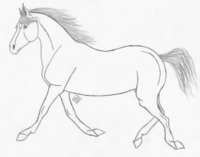 A pencil drawing of a Missouri Fox Trotter horse trotting.
