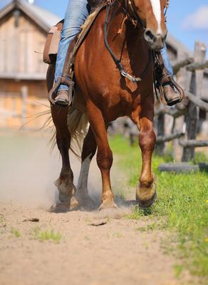 The pony express