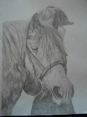 A pencil drawing of a girl standing with her horse. The horse is wearing a bridle and has some grass in its mouth. The girl is on the horse's side away from the observer and is wearing a helmet.