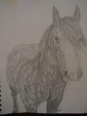 Horse