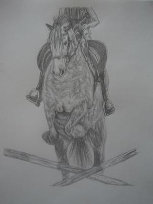 Horse jumping