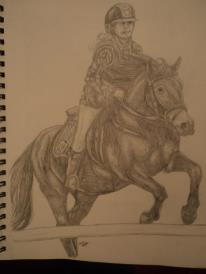 Horse and Rider jumping