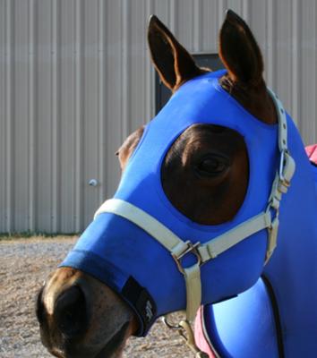 Lark in her SLEEZY SLEEPWEAR before a show! I think she looks really funny=)