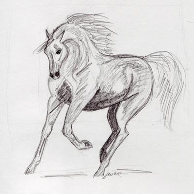 A pencil drawing of a white horse cantering.