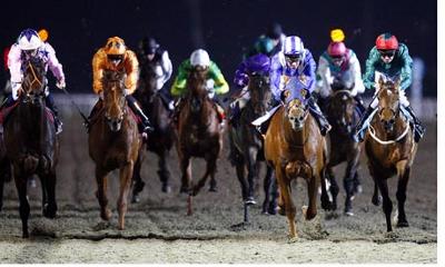 horse race