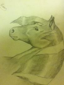 Pencil Horse Drawing (13 yrs)
