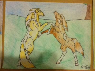 Horses Fighting Drawing (14 yrs)
