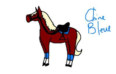 Digital drawing of a reddish horse with a yellowish mane and tail and four white socks.The horse has on blue polo wraps,blue saddle pad,a bridle and saddle.Words'Chine Bleue' on the image.