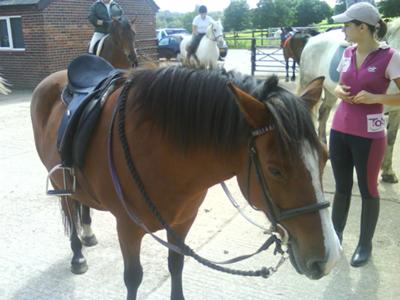 the horse i rode