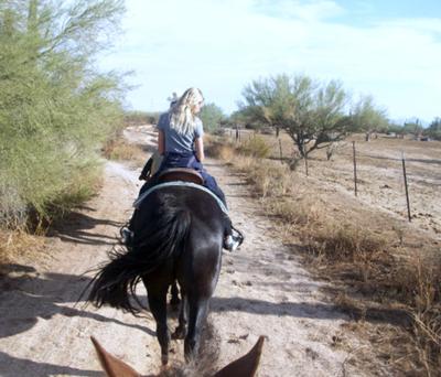 This is me on Socks again. My mom took the picture from her horse Hobo