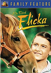 The cover of the movie My Friend Flicka.
