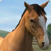A graphic from the game My Horse Game For Tablet. It shows a light bay horse with a white blaze standing in a grassy field with a wood fence, a hill, and a tree in the background. The sky is blue.