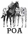 A black and white drawing of two Ponies of the Americas standing next to one another one facing away and another towards the viewer. At the bottom of the drawing it says 'POA'.