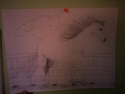 This Horse I drew (Sorry my camera has bad quality)