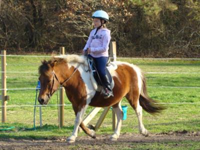 Me Doing Dressage on Nickers when I was 8.