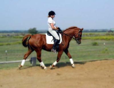 my mare with my mum