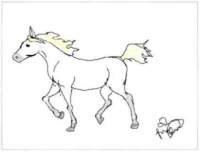 A pencil drawing of an Arabian horse cantering. The horse is white but has a yellow mane and tail. The artists signature is in the bottom right hand corner.