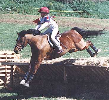 eventer