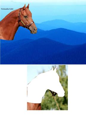 A collage where someone made a blue wave gradient background (darkest blue on bottom lightest blue on top) and pasted a cutout of a chestnut horse's head on it. The cut picture is below.