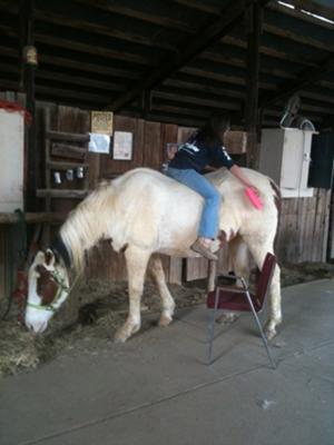 my favorite way to brush Jake!