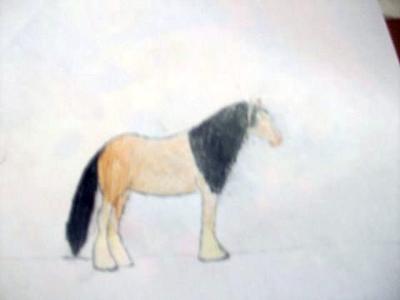my drawing of a freisian horse