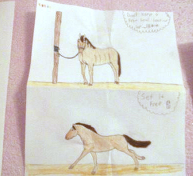 more horse drawings