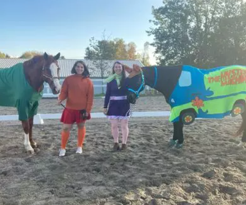 A horse halloween costume inspired by Scooby Doo