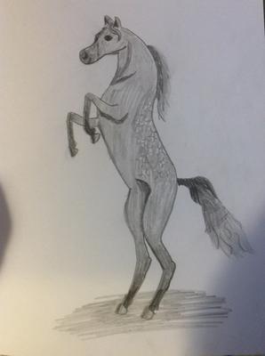 Drawing of Mystical Stallion