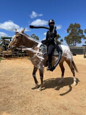Ninja Spider Costume horse Halloween costume
