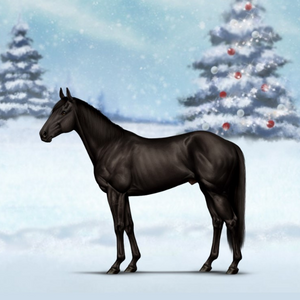 A graphic from the game Equine Passion. A black horse is standing in a field covered with snow. There are pine trees covered in snow and decorated with ornaments in the background.