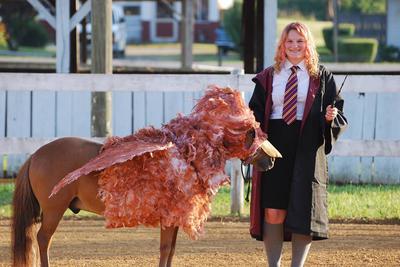 A girl wearing a Hogwarts uniform standing next to a miniature horse wearing a hypogriff costume.