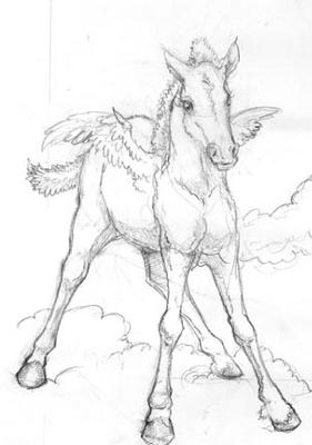 A pencil drawing of a Pegasus foal standing on top of clouds.