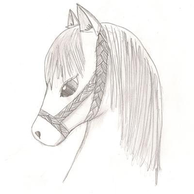 A pencil drawing of a horse's head. The horse is wearing a braided rope halter.