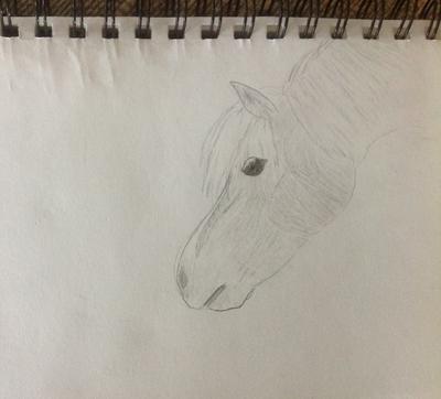 A pencil drawing of a horse reaching its head out and down.