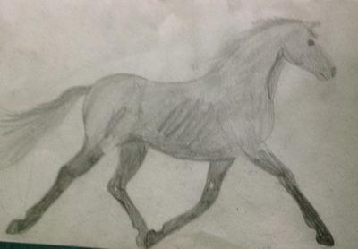 Horse sketch full body side view