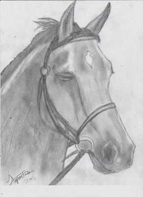 Horse Drawing by ASPEN/12/6/2015