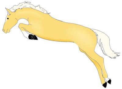 A drawing of a palomino horse jumping. There is no jump and the horse is not wearing any tack. The horse has a white stocking on its left front and a white pastern on hind left.