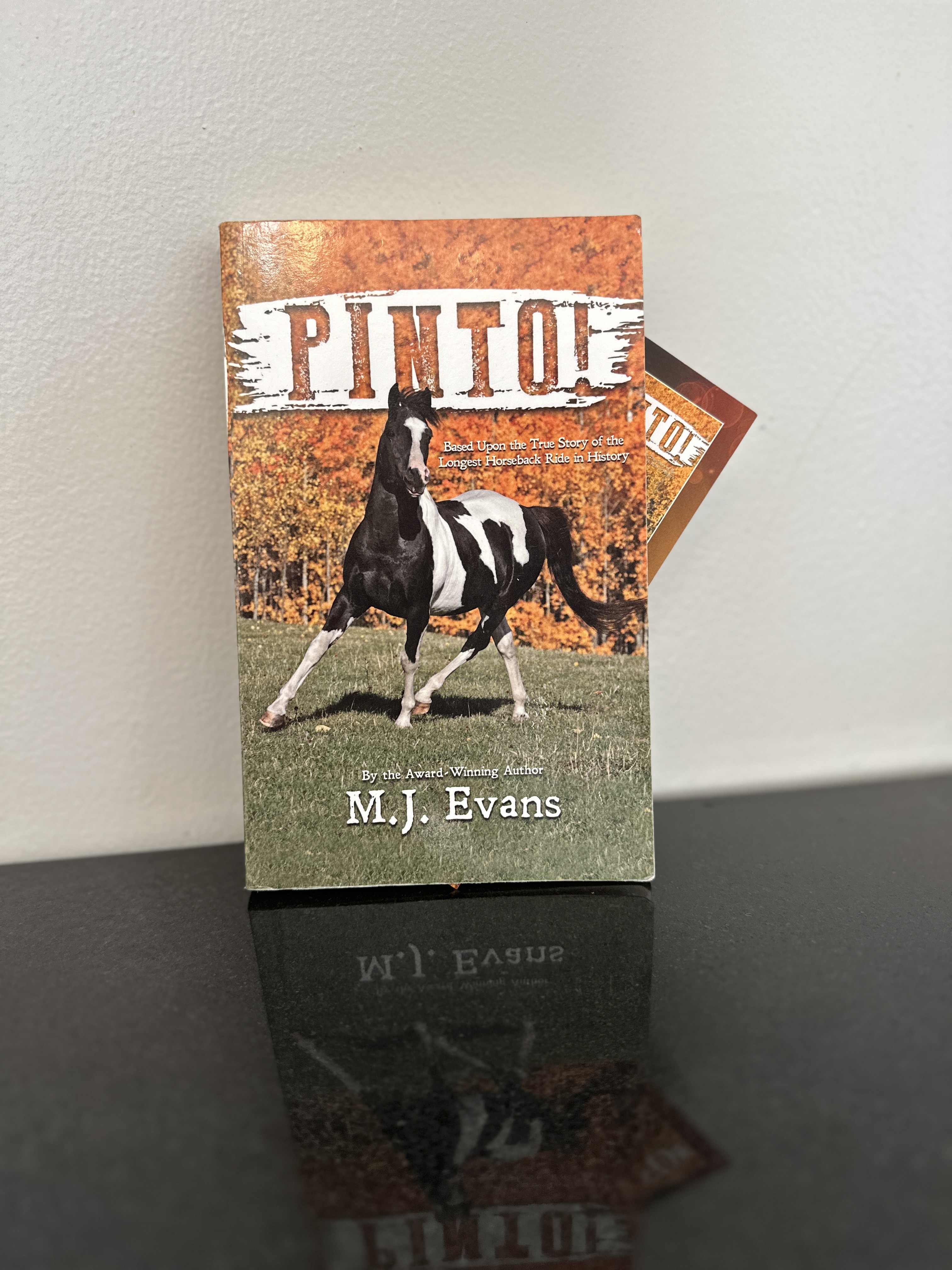 Pinto by MJ Evans book cover