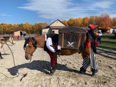 horse halloween costume poco as two pirates with treasure chest