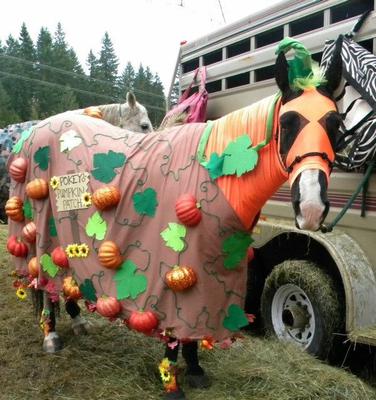 A horse dressed in an orange, green, and brown costume with pumpkins on it.