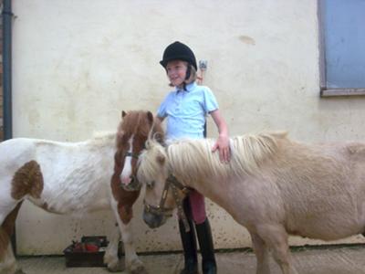 Snowy and Charlotte miniature shetland ponies