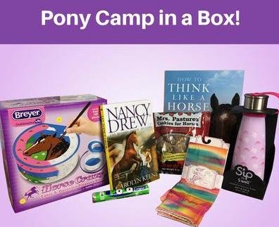 At the top of the image is a purple stripe with the words Pony Camp in a Box! in white lettering. Below that is a pink square with pictures of Breyer Horse Crazy paint kit, How To Think Like A Horse book, a pink Sip water bottle, a rainbow set of riding socks, Mrs. Pastures cookies for horses, a Nancy Drew Book, and some candy.