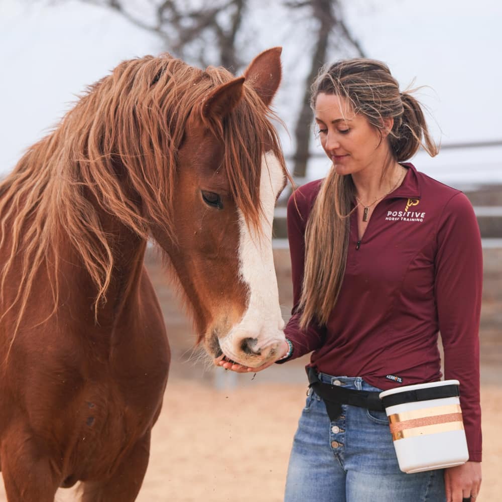 A photo from Positive Horse Training with a girl feeding her chestnut horse a treat