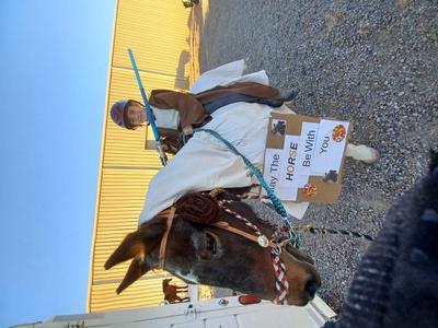 horse halloween costume princess lucy leia and the jedi