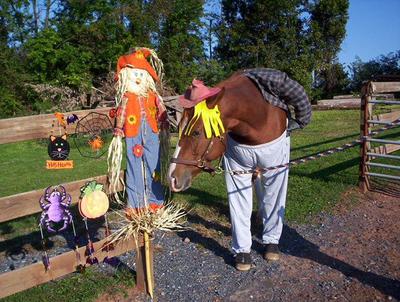 A horse dressed up as a scarecrow.
