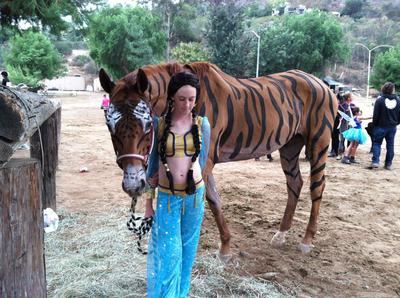 horse halloween costume raja and jasmine