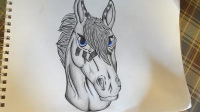 A drawing of a gray horse's head. The horse has blue eyes and has blue stripes on its face under its eyes, on the middle of its face and on its ears.