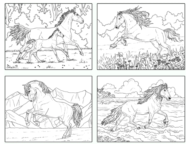 Four unique horse coloring pages. The image comes from Etsy