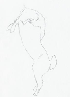 A pencil outline of a horse rearing.