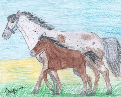 A drawing of an Appaloosa horse trotting in a field with a bay foal by their side. There is grass in the field and a blue sky above. The Appaloosa horse is wearing a blue halter.